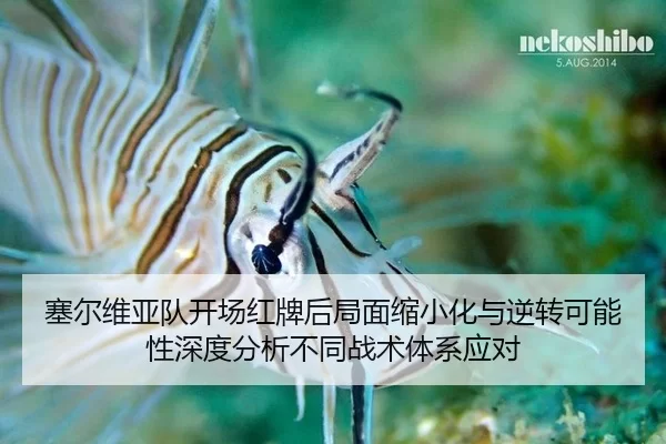 塞尔维亚队开场红牌后局面缩小化与逆转可能性深度分析不同战术体系应对